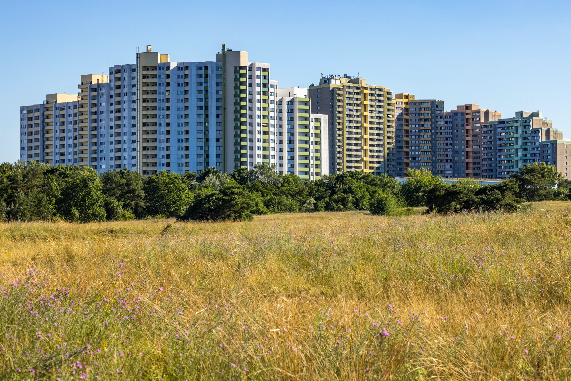 Mehrere mehrstöckige Wohngebäude in verschiedenen Farben stehen hinter einer Wiese mit hohem Gras und einigen Büschen unter klarem Himmel.