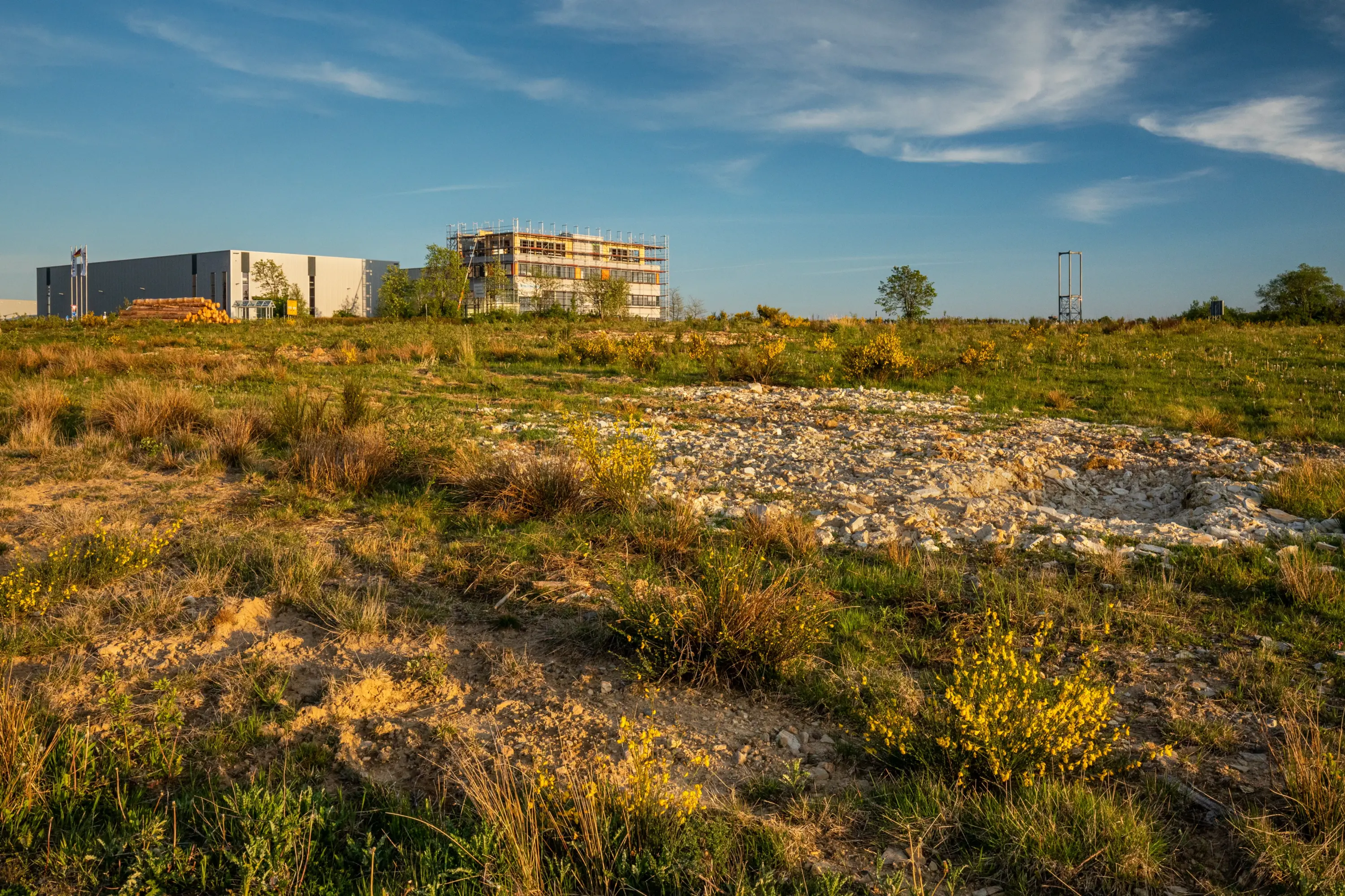 Industriebrache mit offenen Bodenstellen, Pionierpflanzen und angrenzenden Gebäuden unter blauem Abendhimmel
