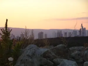 Blick vom Monte Scherbelino auf die Skyline von Frankfurt am Main bei Sonnenuntergang, im Vordergrund Felsen und Wildpflanzen