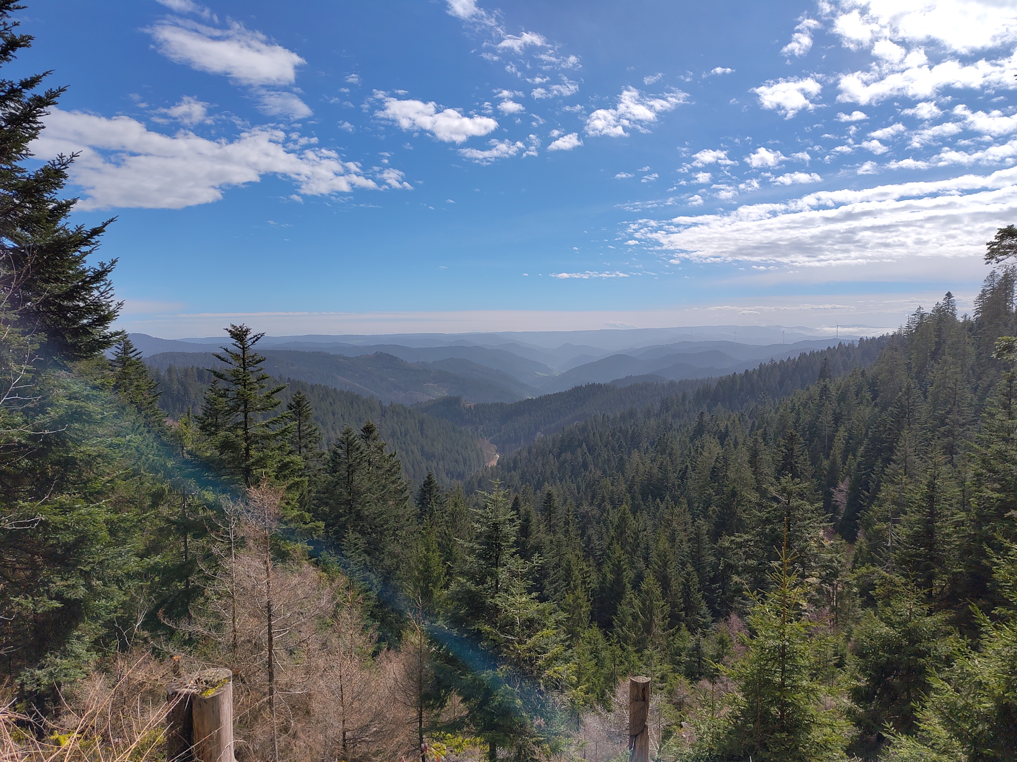 Weitläufiger Blick über bewaldete Hügel unter blauem Himmel mit vereinzelten Wolken – dichte, ungestörte Waldlandschaft.