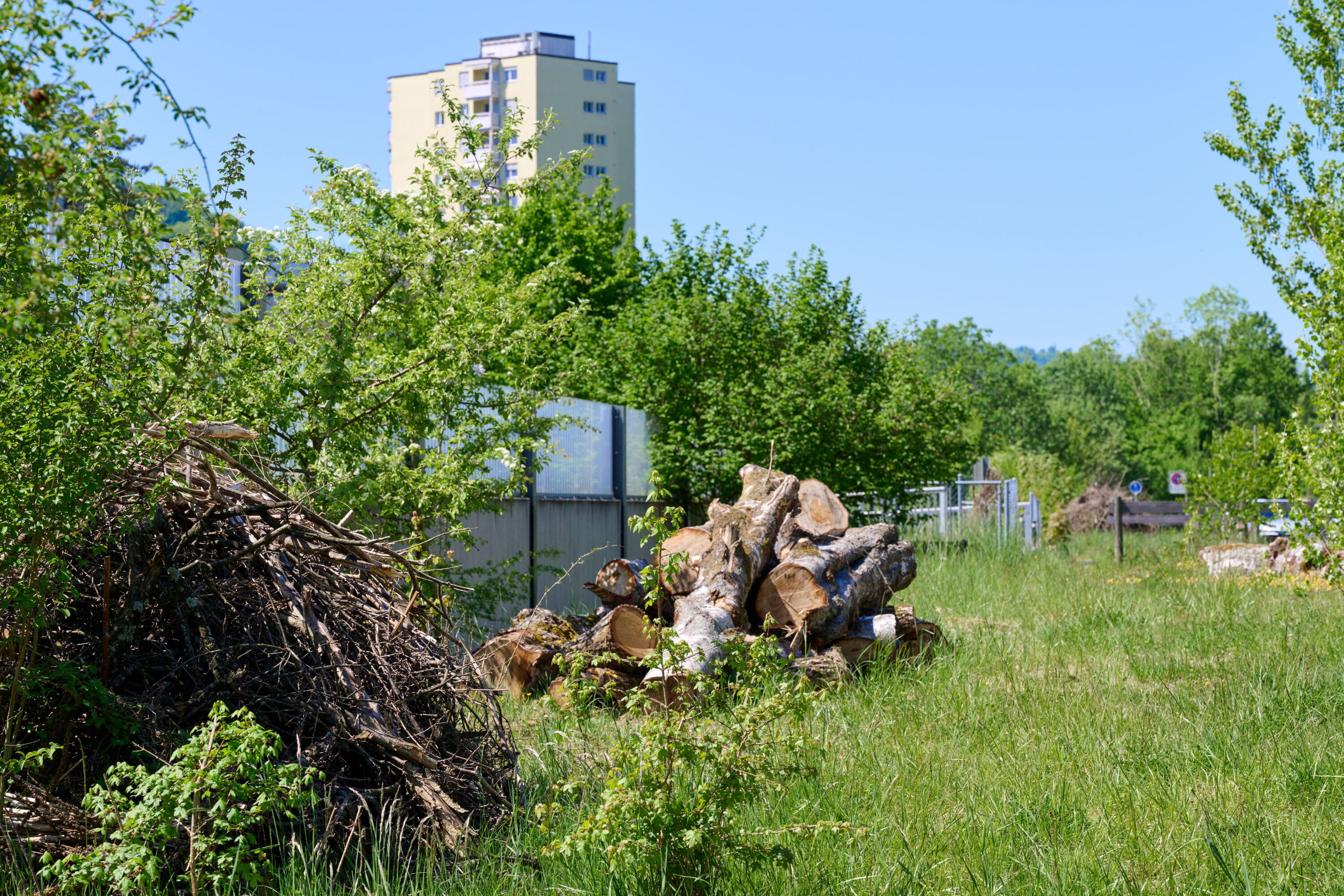 Vor einem Hochhaus sind auf einer Wiese mehrere Holzstapel aus Ästen und Baumstämmen neben Büschen und Bäumen zu sehen.