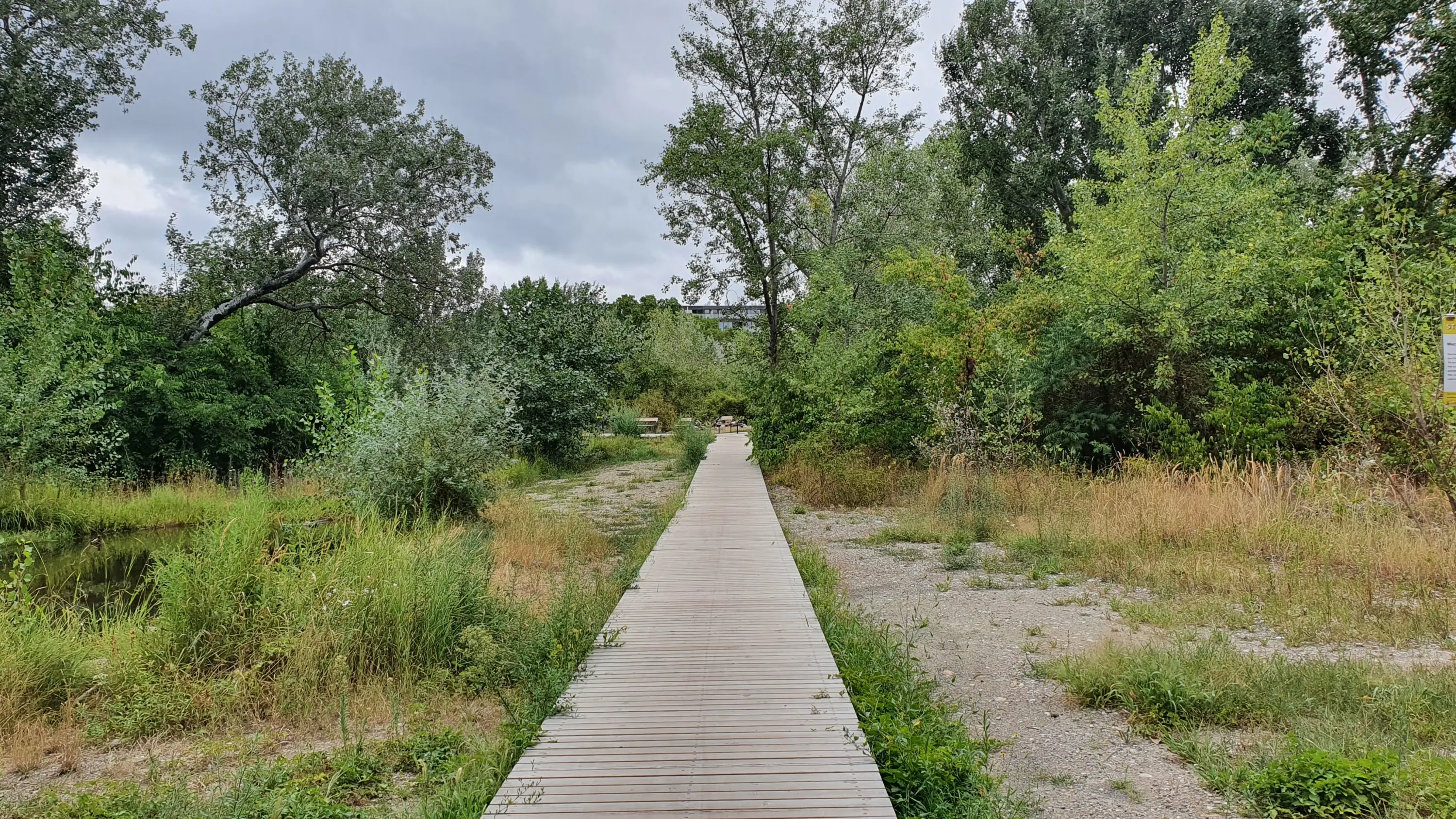 Ein schmaler Holzsteg führt durch eine grüne Wildnislandschaft mit Bäumen, Gras und einem kleinen Gewässer unter bewölktem Himmel.