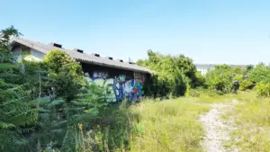 Ein mit Graffiti besprühter Gebäudeteil steht in einer überwucherten, grasbewachsenen Fläche mit Büschen und Bäumen unter blauem Himmel.