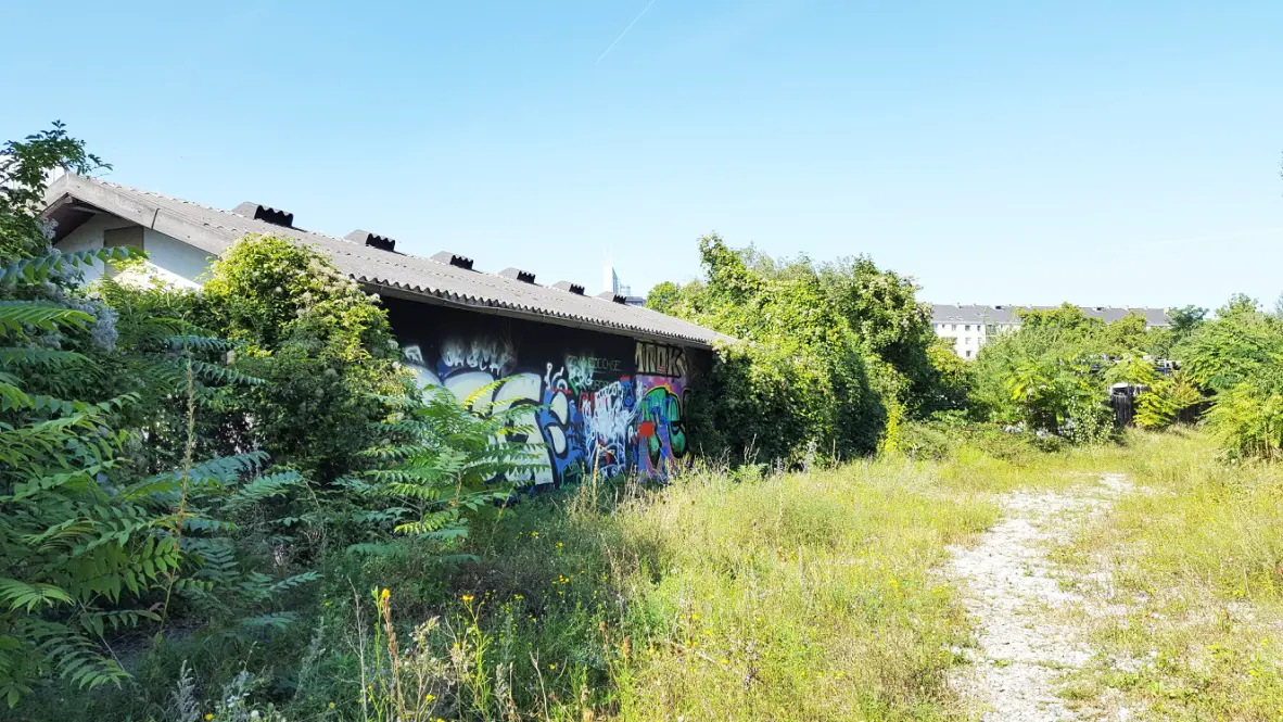 Ein mit Graffiti besprühter Gebäudeteil steht in einer überwucherten, grasbewachsenen Fläche mit Büschen und Bäumen unter blauem Himmel.
