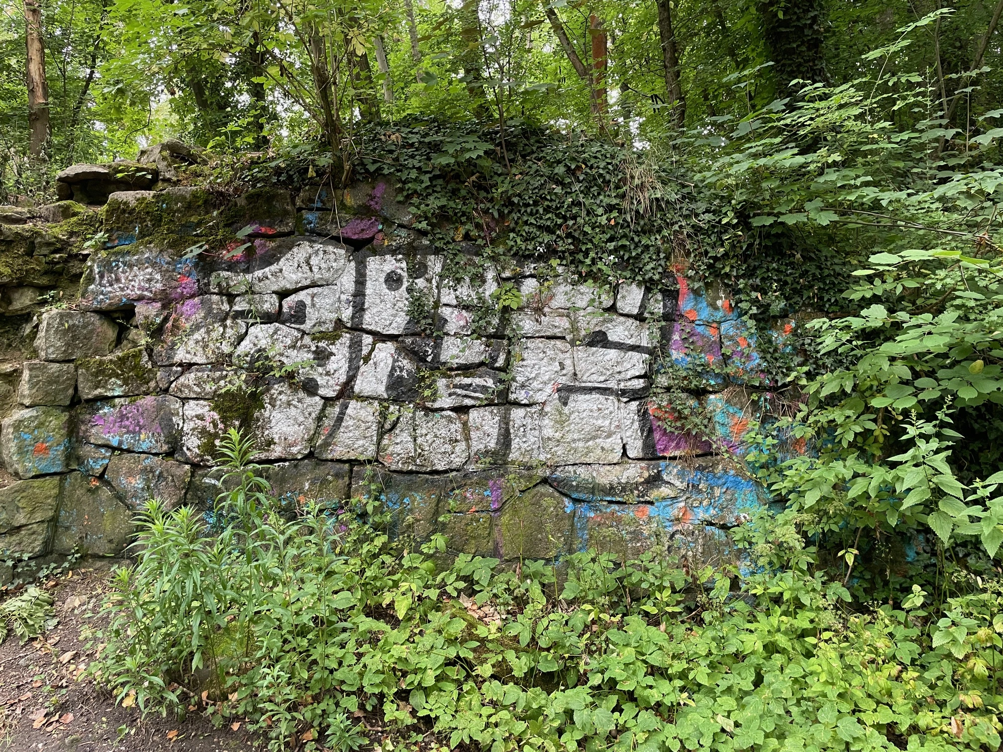 Eine Mauer im Wald ist mit Graffiti besprüht und von Pflanzen überwachsen.
