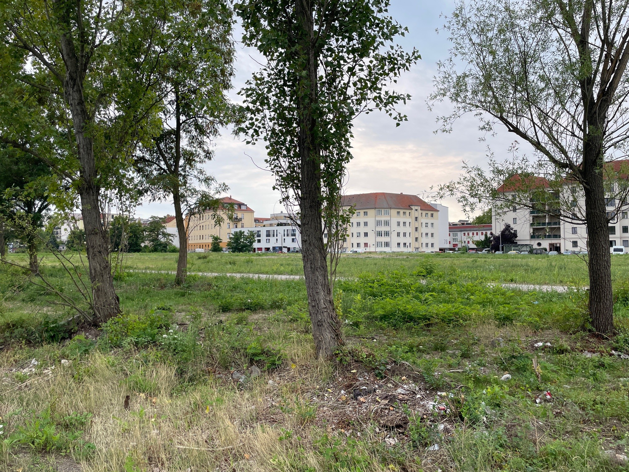 Eine Brachfläche vor Häusern in Leipzig