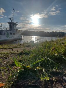 Gras und Pflanzen am Ufer eines Gewässers mit einem Schiff und der Sonne am bewölkten Himmel im Hintergrund.