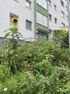 Vor einem mehrstöckigen Wohnhaus mit weißen und grünen Fassaden wachsen zwei große Sonnenblumen und viele bunte Blumen in einem Beet.
