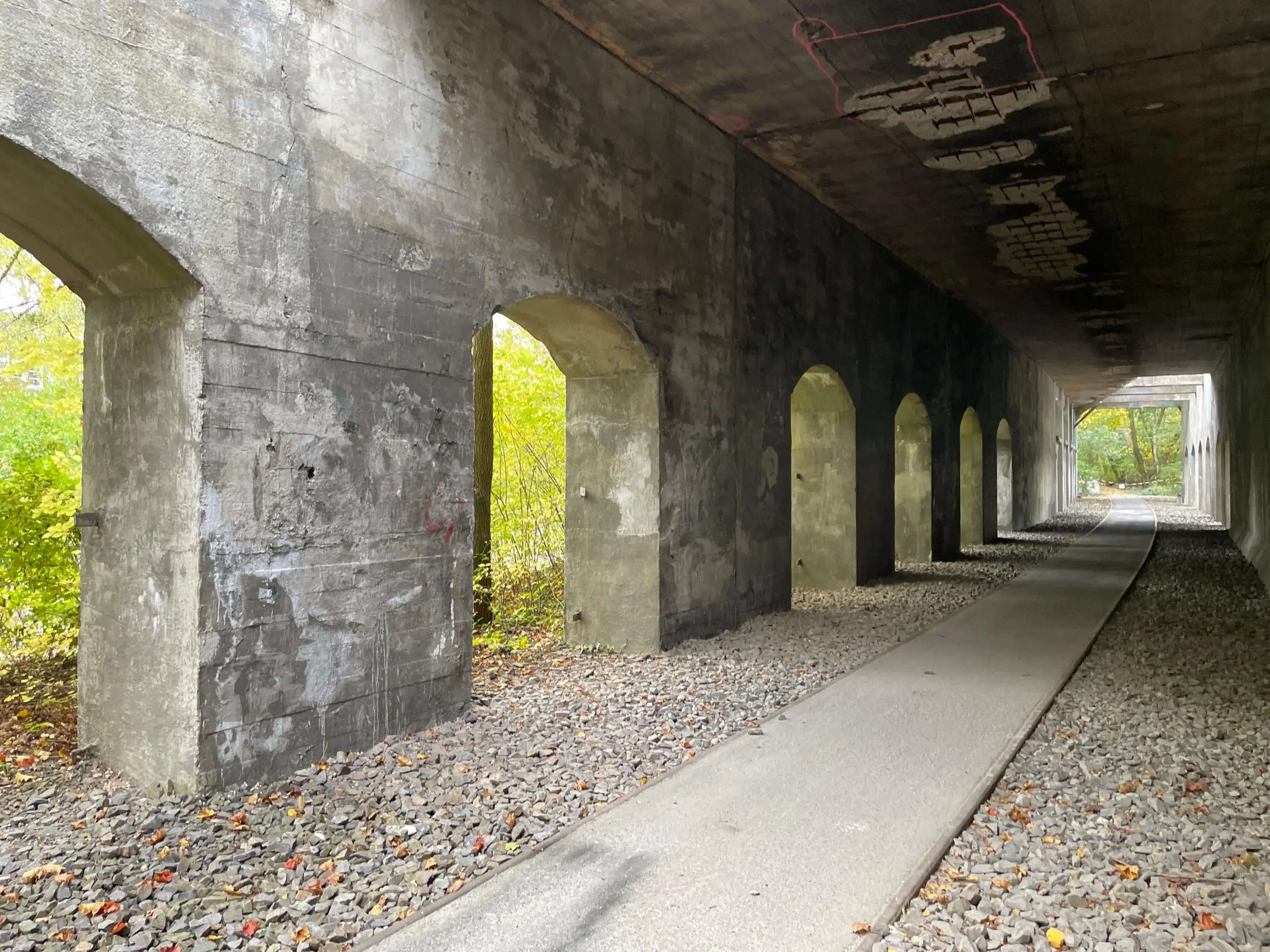 Beton-Gleistunnel mit mehreren rechteckigen Öffnungen an der linken Seite und einem schmalen Weg in der Mitte, umgeben von herbstlichem Laub.